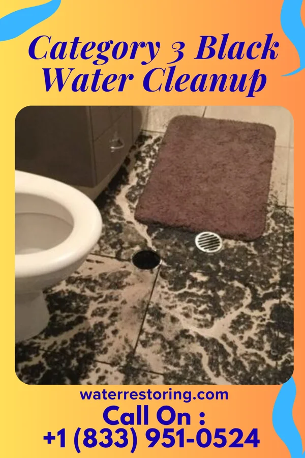 Category 3 Black Water Cleanup in Waubeka, WI