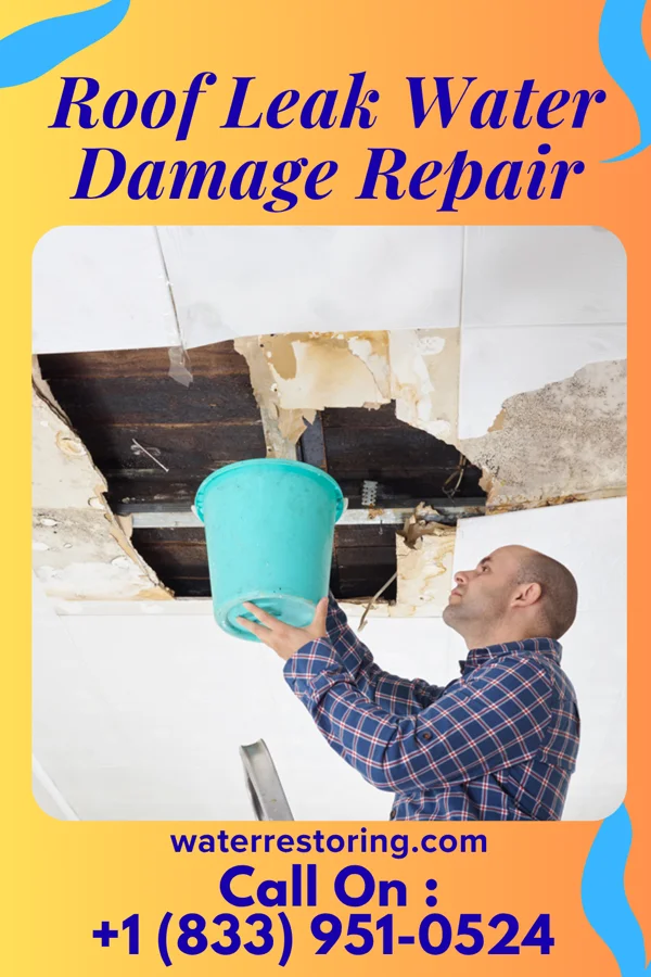 Roof Leak Water Damage Repair in Waubeka, WI