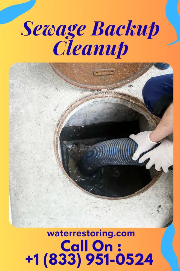 Sewage Backup Cleanup in Waubeka, WI